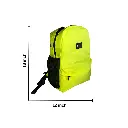 8.webp