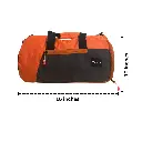 15.webp