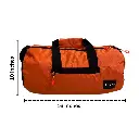 19.webp